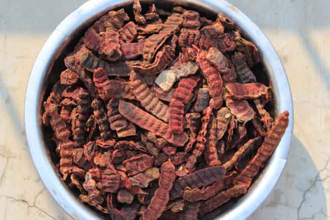 शिकाकाई
